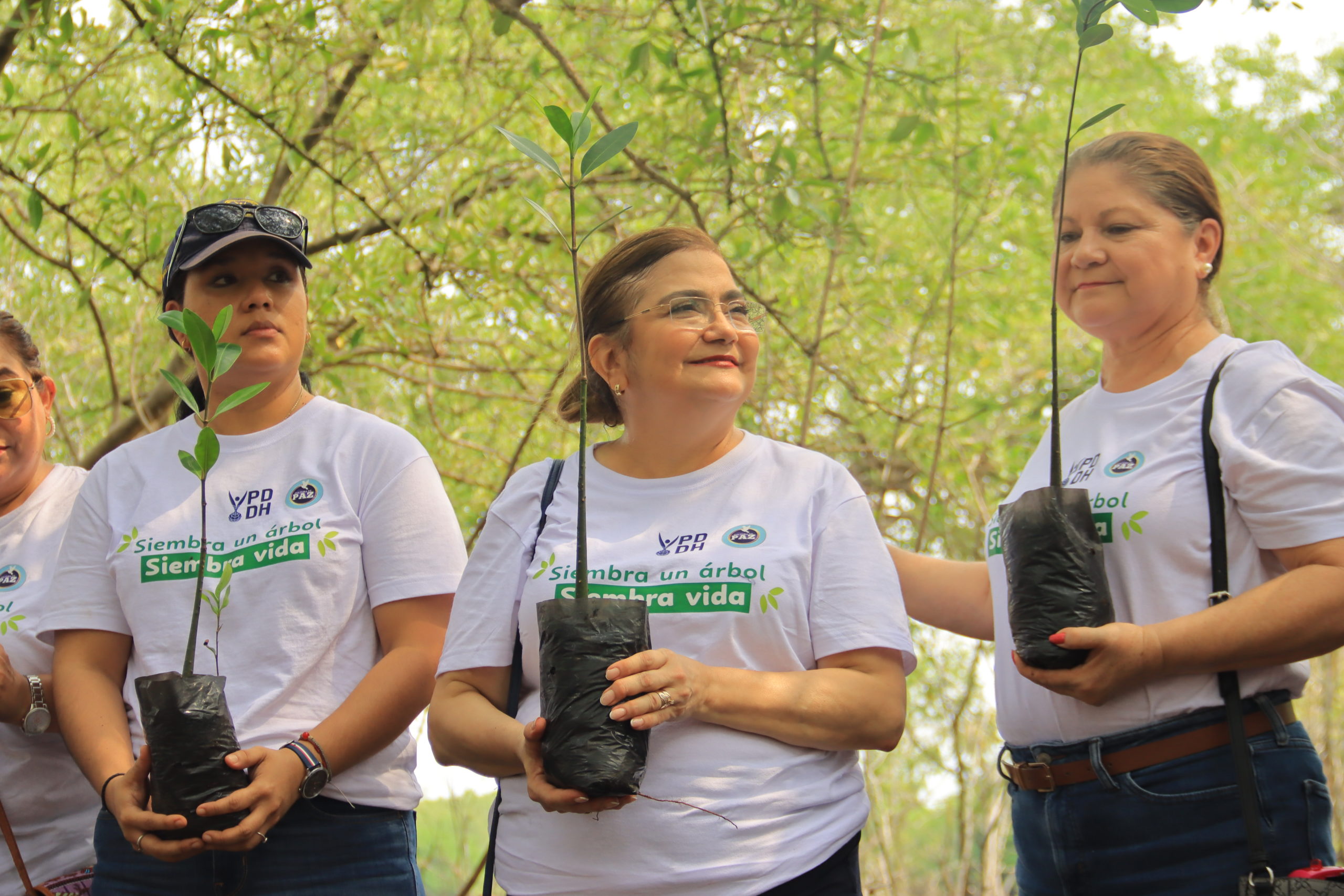 Procuradora Raquel Caballero lanza campaña: «Siembra un árbol, Siembra vida»